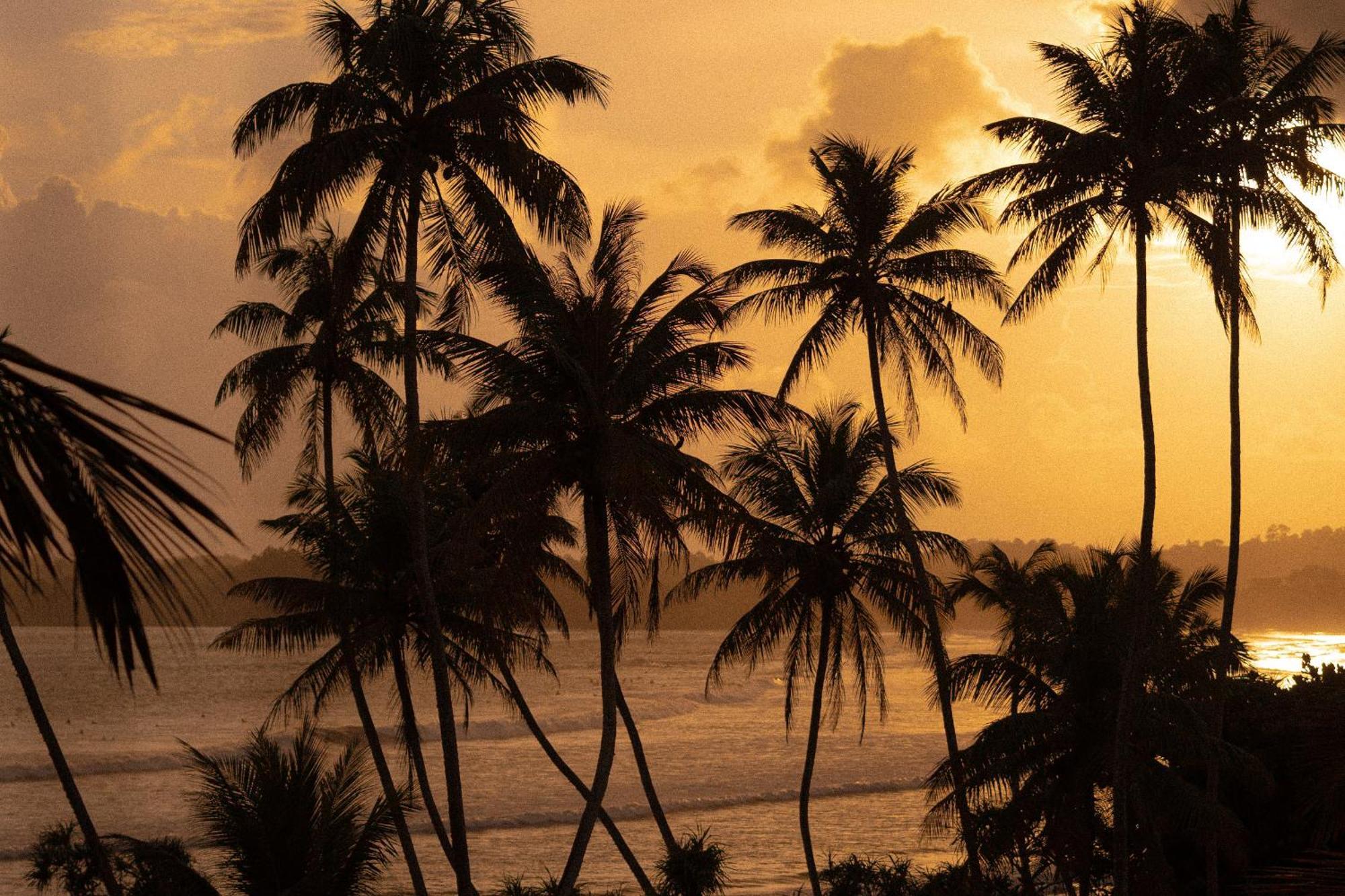 Lucky'S Surf Camp Bed & Breakfast Weligama Exterior photo
